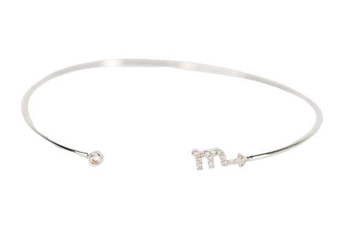 Zodiac Bangle Bracelet