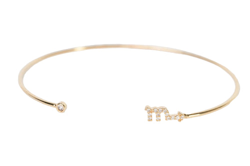 Zodiac Bangle Bracelet