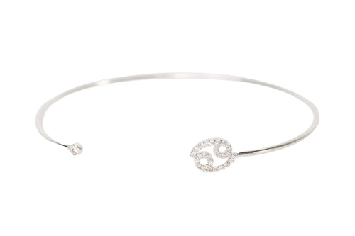 Zodiac Bangle Bracelet